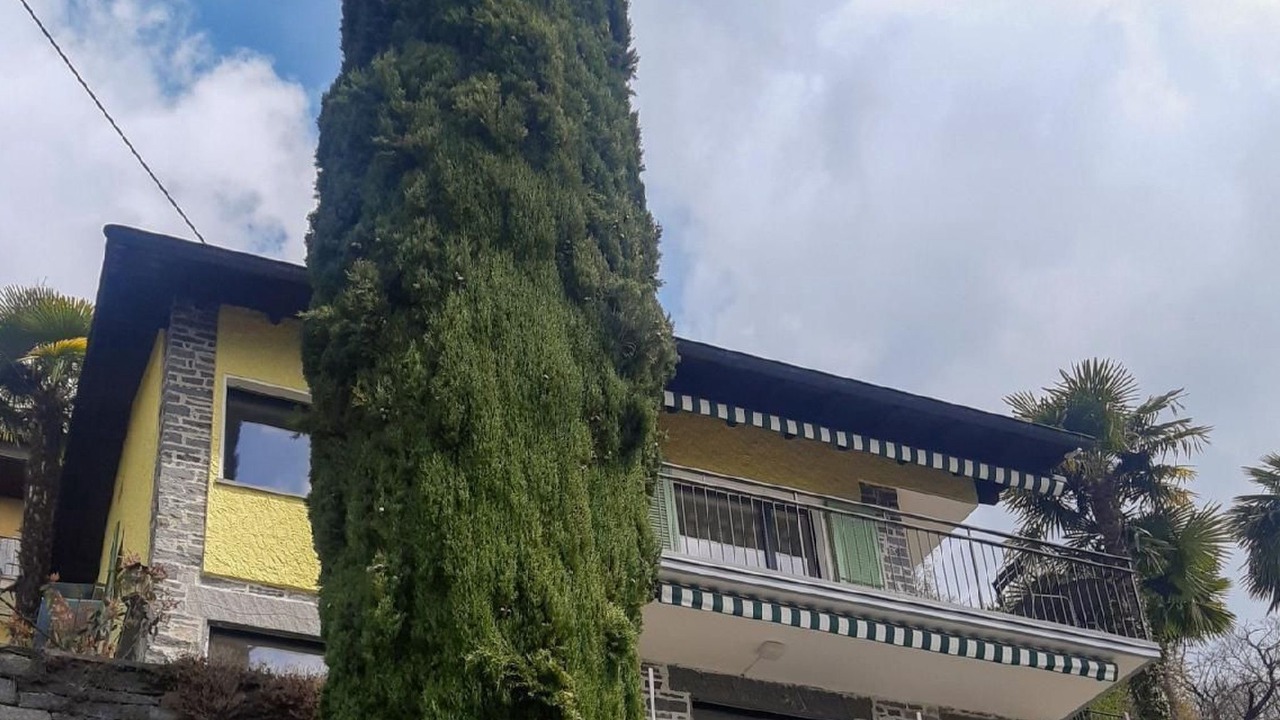 Photo of Outdoor in Gordola