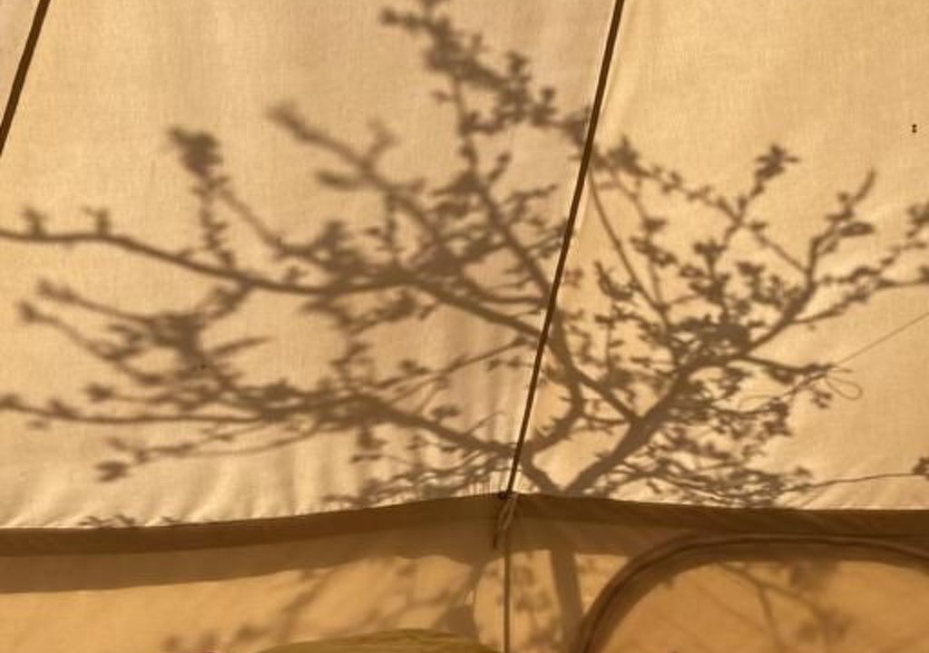 Photo of Bedroom in Ennetmoos