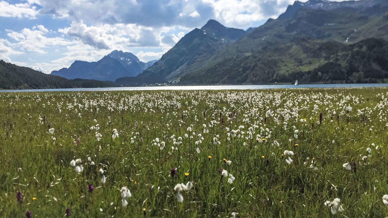 Photo of Others in Maloja