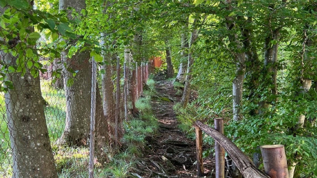 Photo of Others in Brione sopra Minusio
