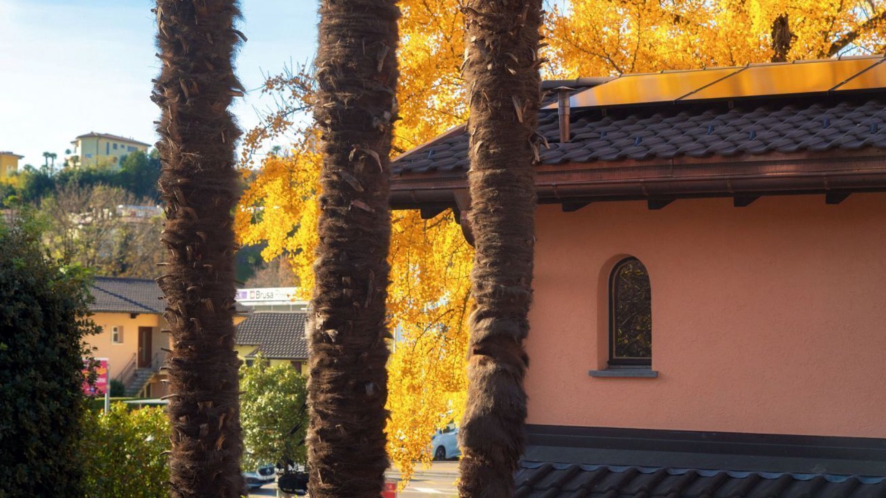 Photo of Outdoor in Ascona