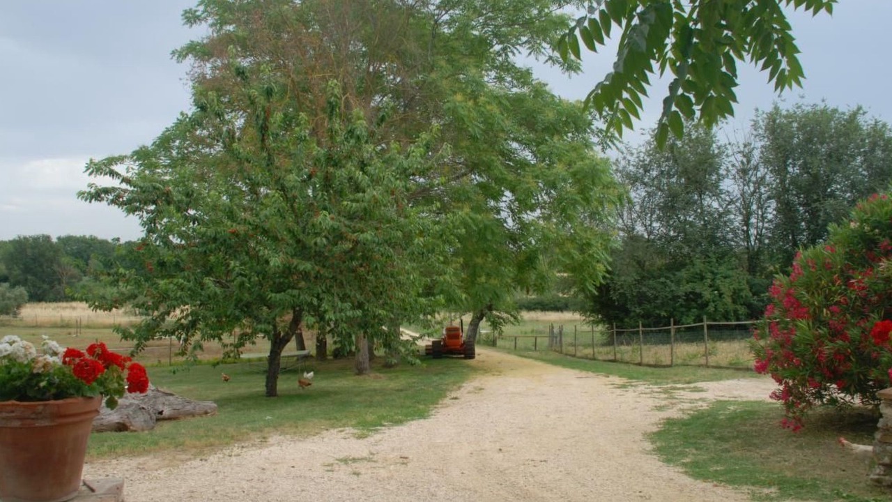 Photo of Others in Amelia