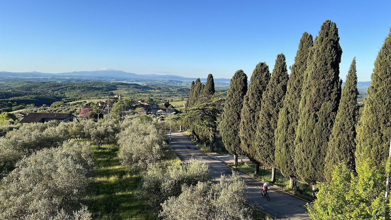 Photo of Others in Castelnuovo Berardenga