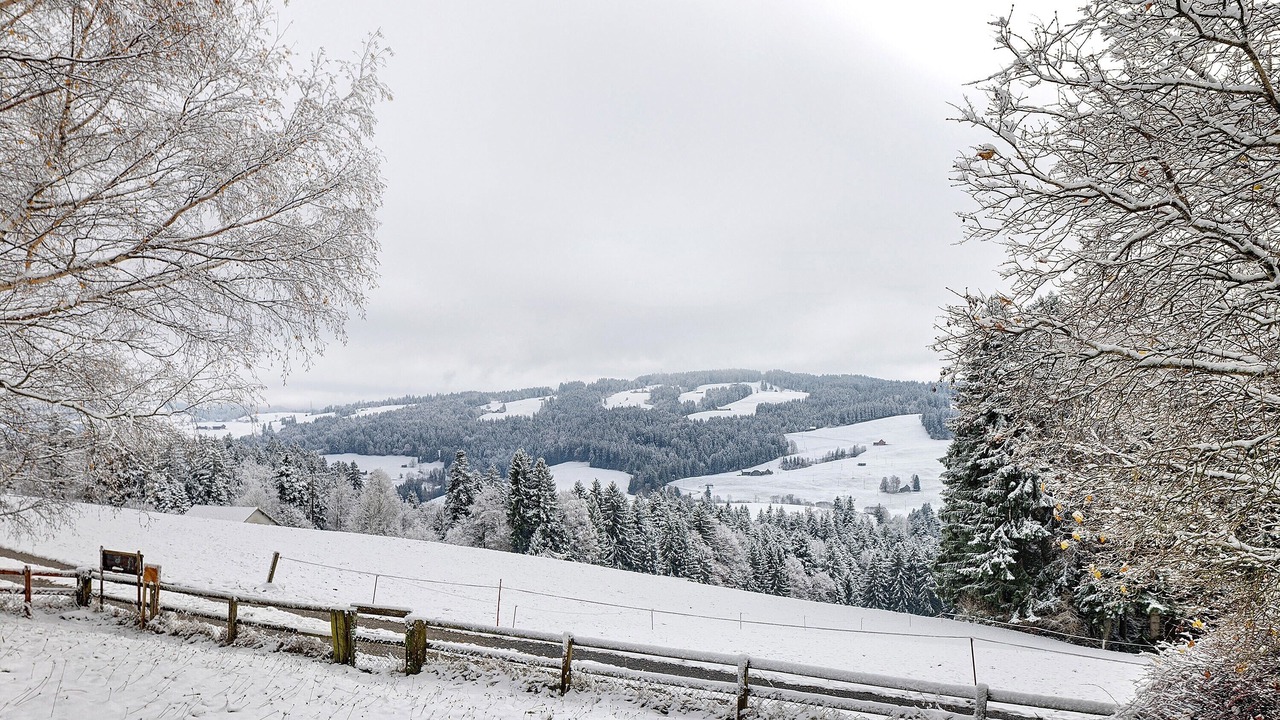 Photo of Others in Gebertingen
