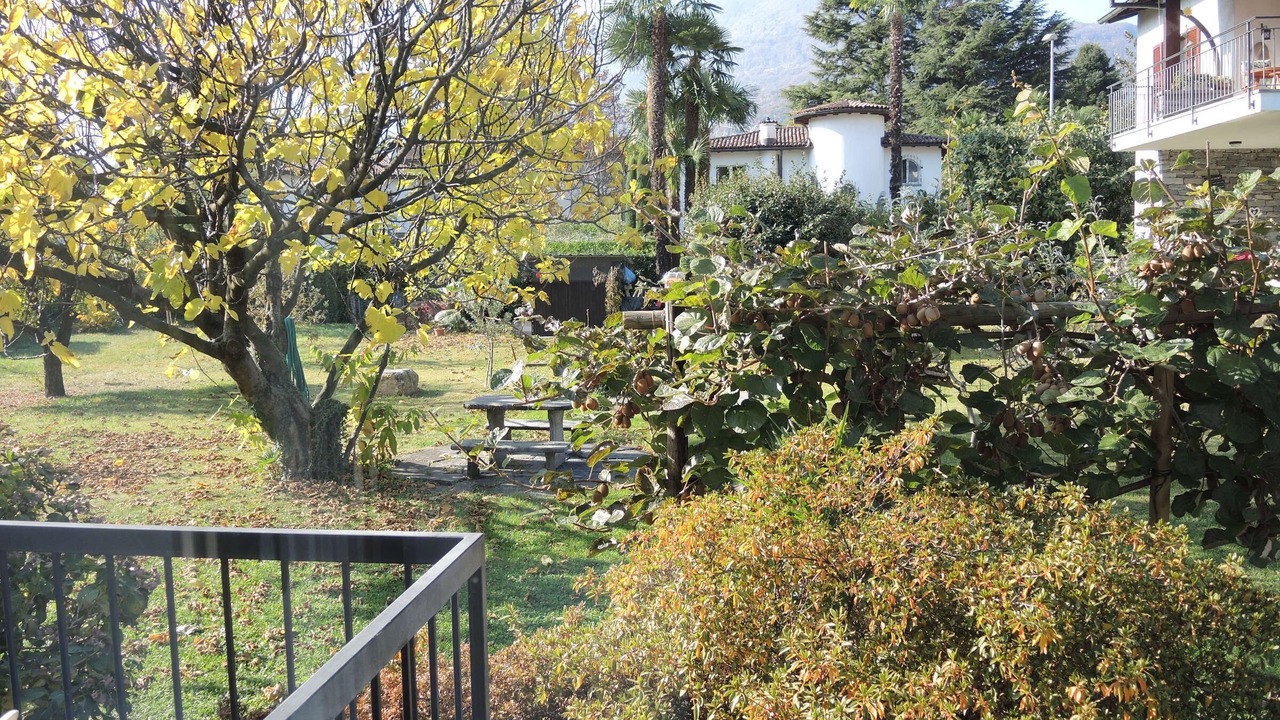 Photo of Outdoor in Ascona
