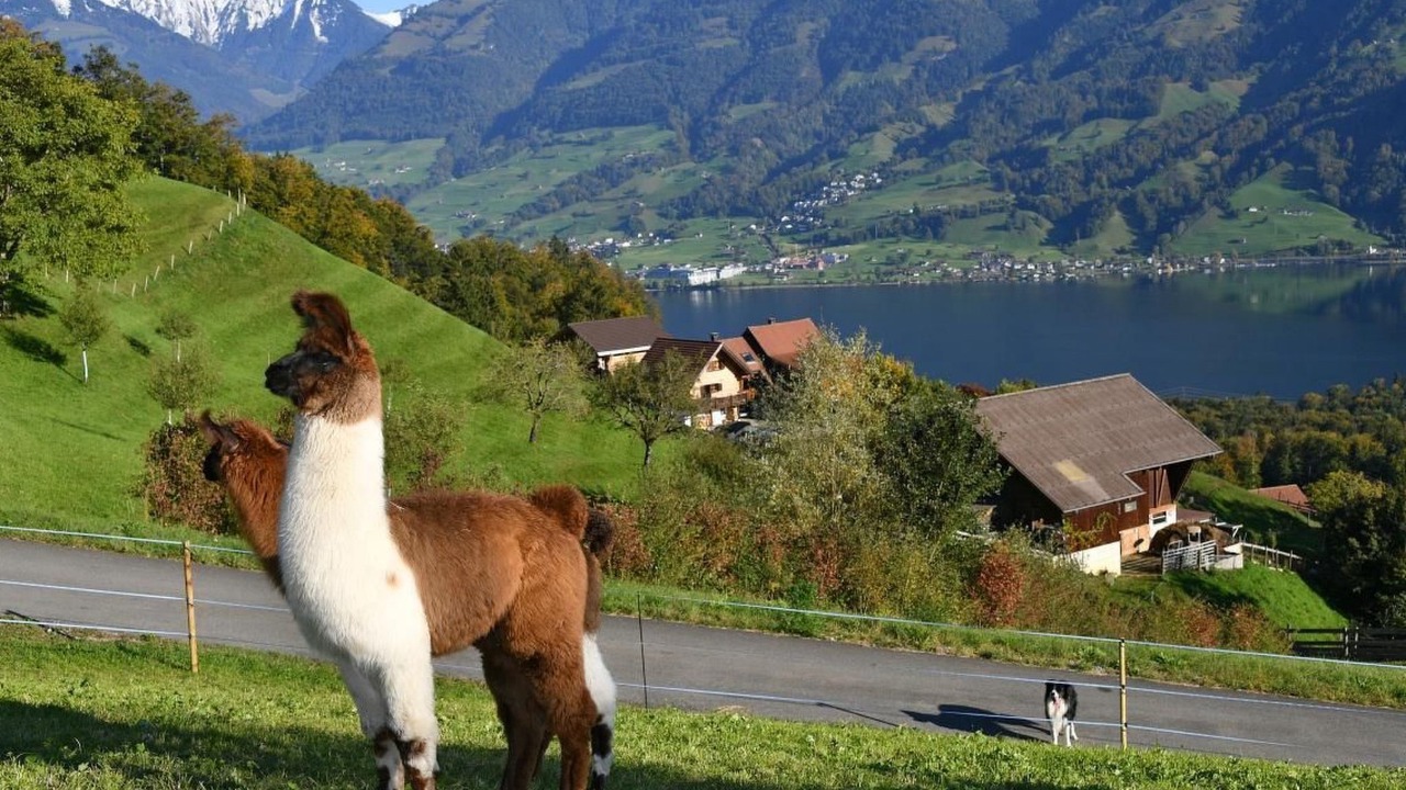 Photo of Others in Sarnen