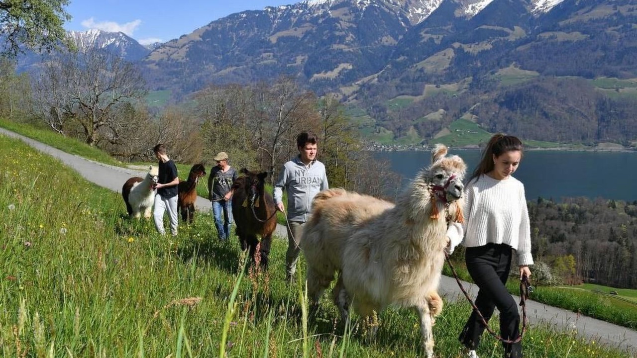 Photo of Others in Sarnen