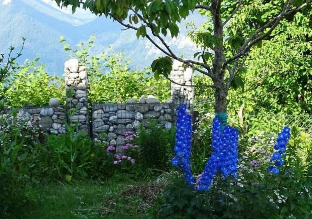 Photo of Others in Aeschi bei Spiez