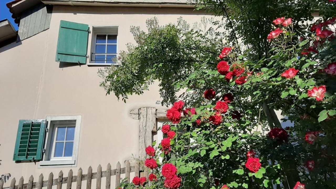 Photo of Outdoor in Schaffhausen