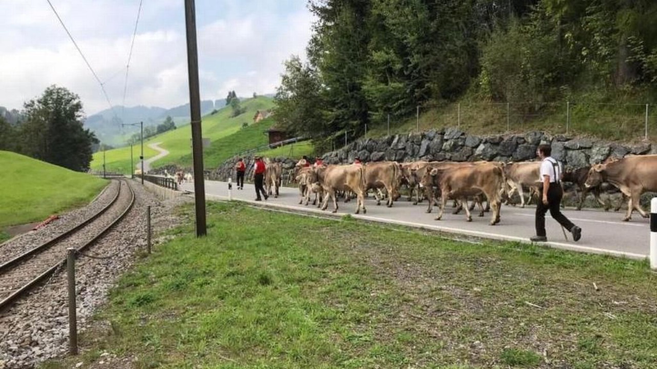 Photo of Others in Hundwil