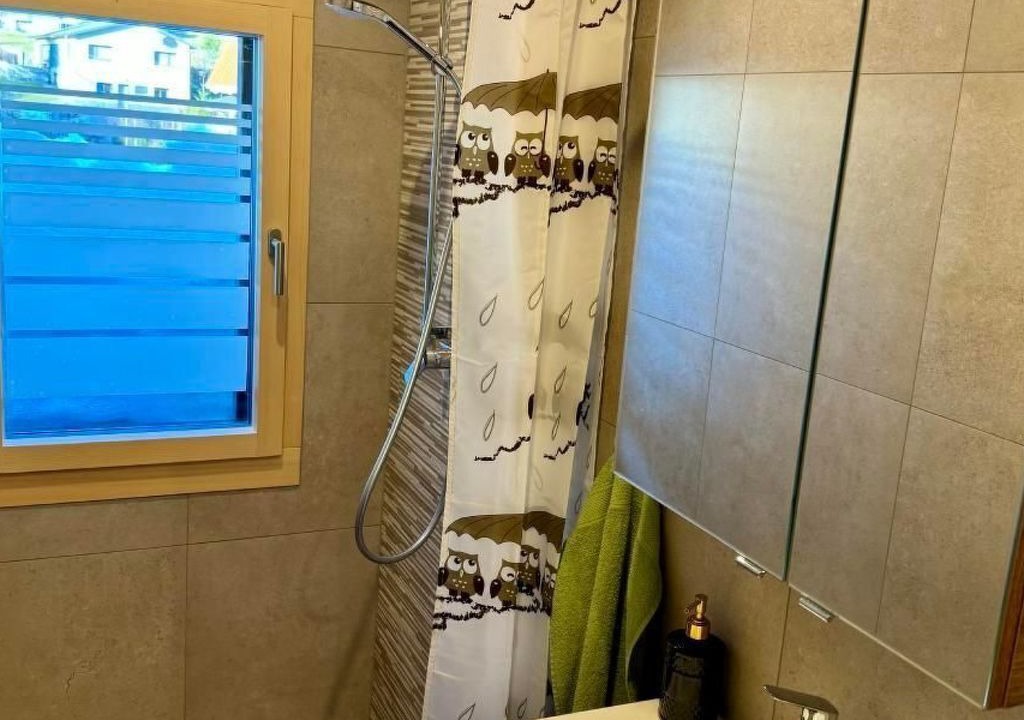 Photo of Bathroom in Alpthal