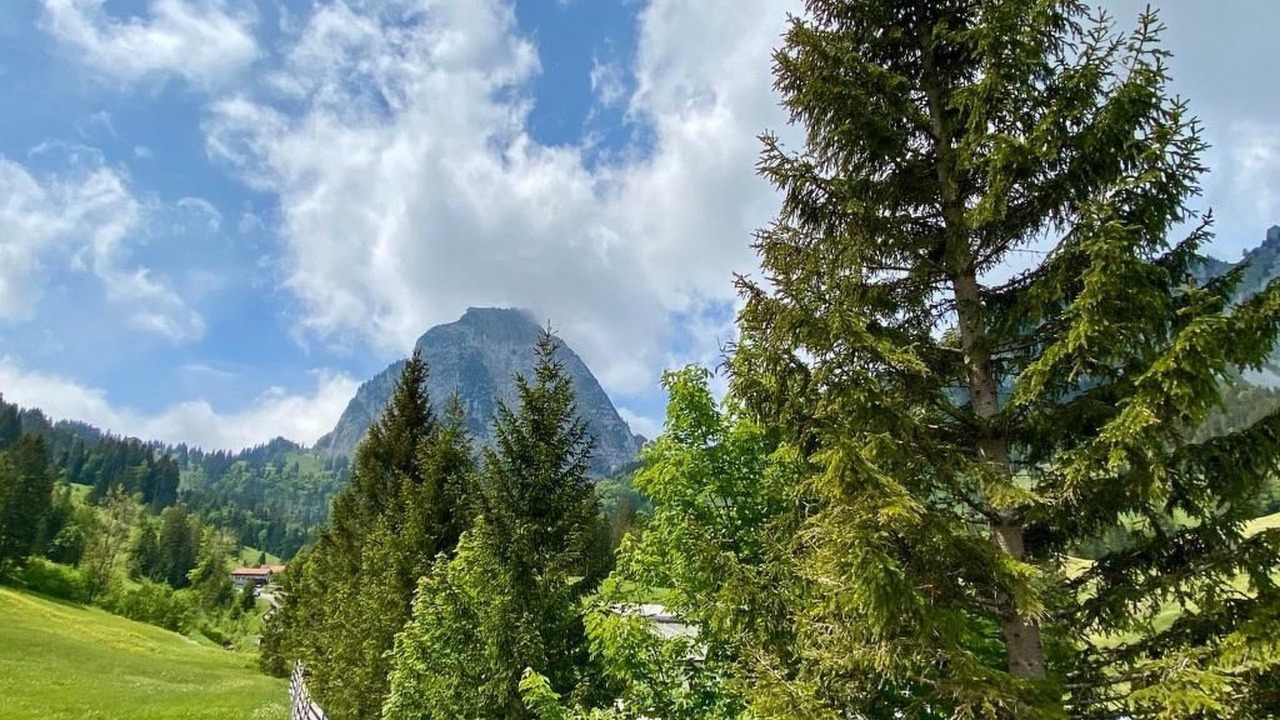 Photo of Others in Alpthal