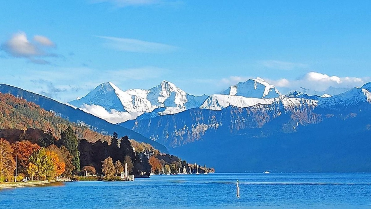 Photo of Others in Wilderswil