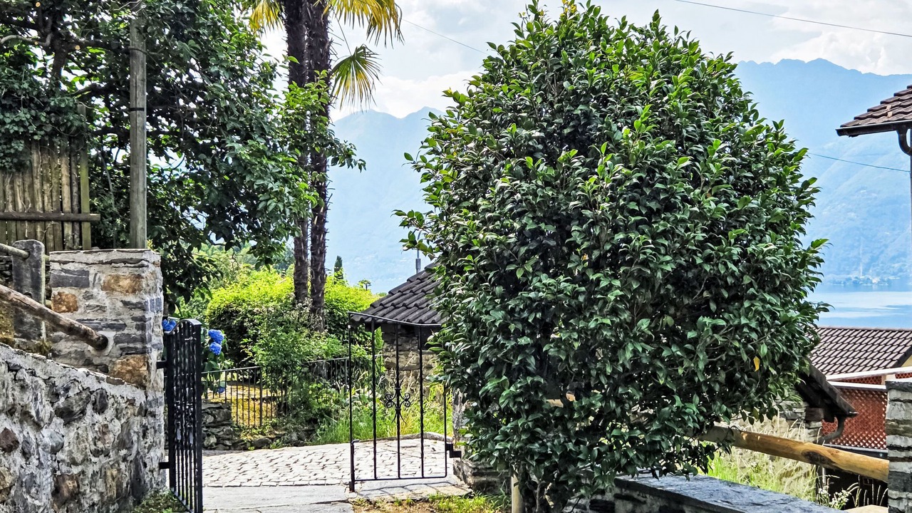 Photo of Others in San Nazzaro