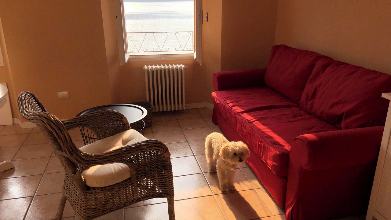 Photo of Livingroom in Lierna