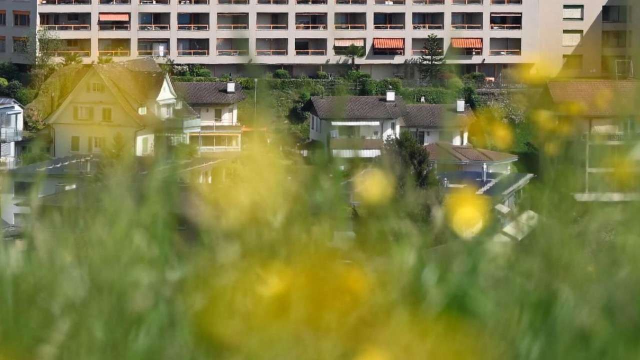Photo of Others in Weggis