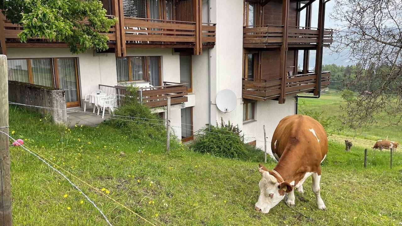 Photo of Outdoor in Aeschi bei Spiez