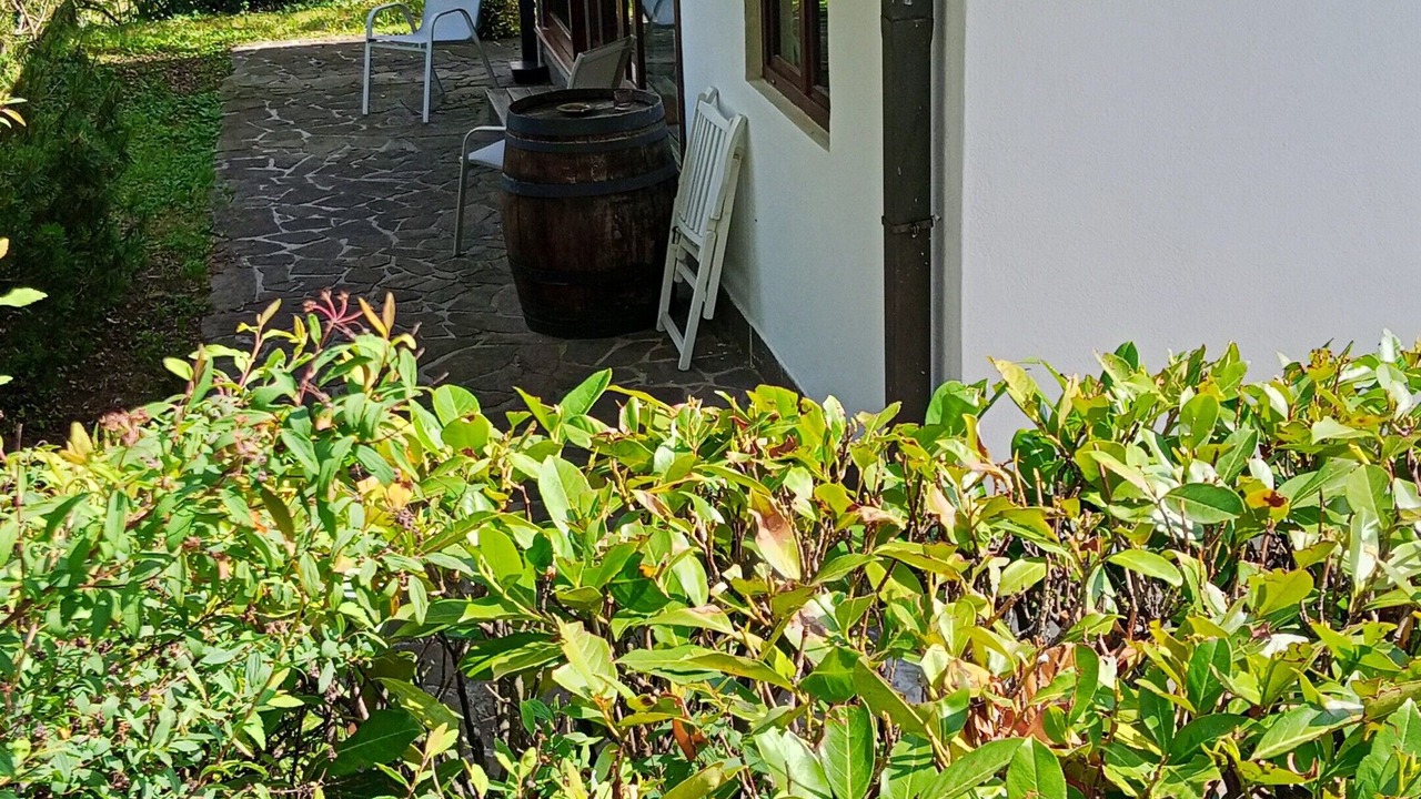 Photo of Outdoor in Mossa