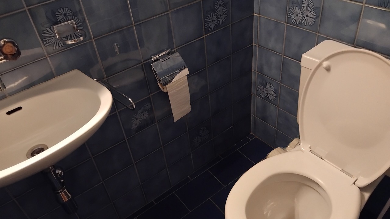 Photo of Bathroom in Carouge