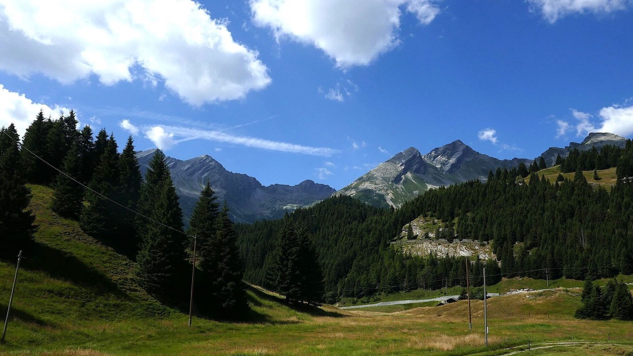 Photo of Others in Mesocco