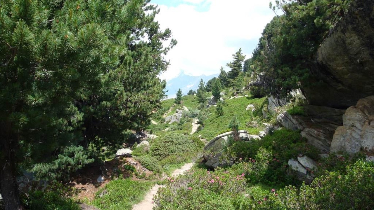 Photo of Others in Riederalp