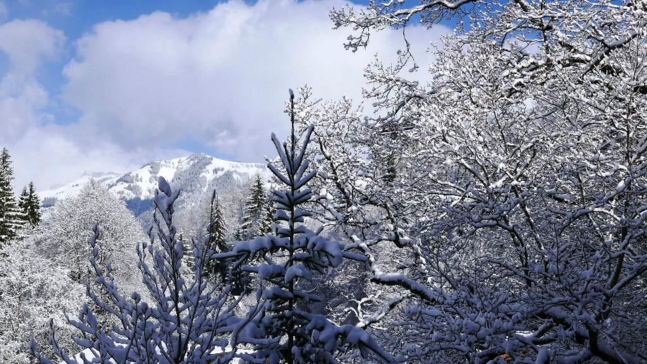 Photo of Others in Gstaad