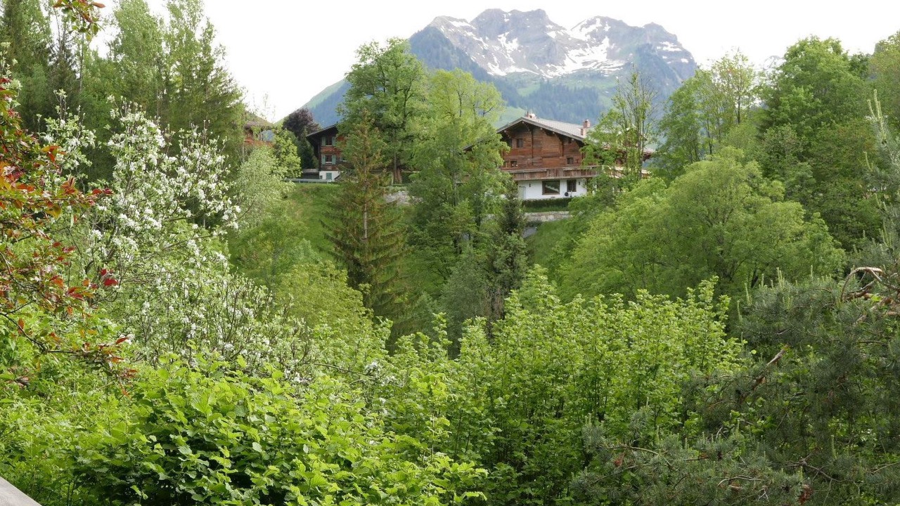 Photo of Others in Gstaad