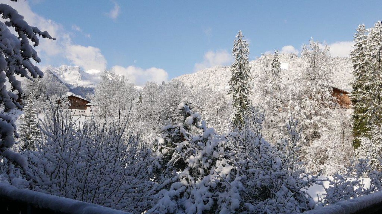 Photo of Others in Gstaad