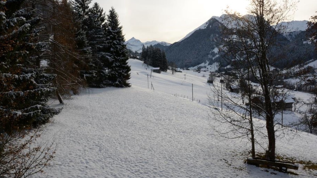 Photo of Others in Gstaad
