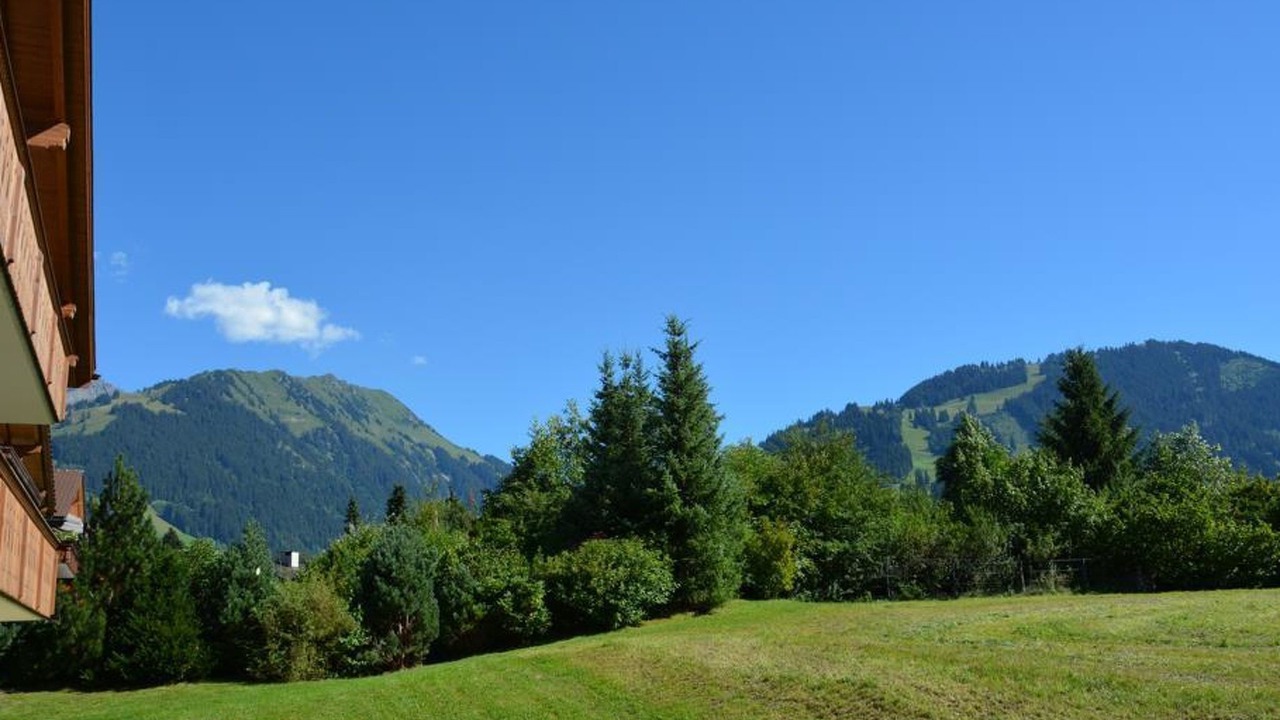 Photo of Others in Gstaad