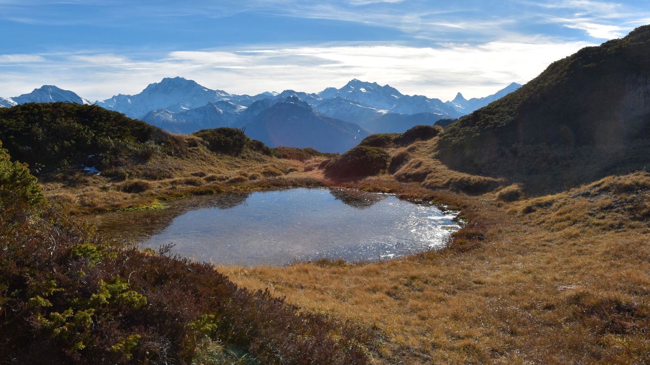 Photo of Others in Riederalp