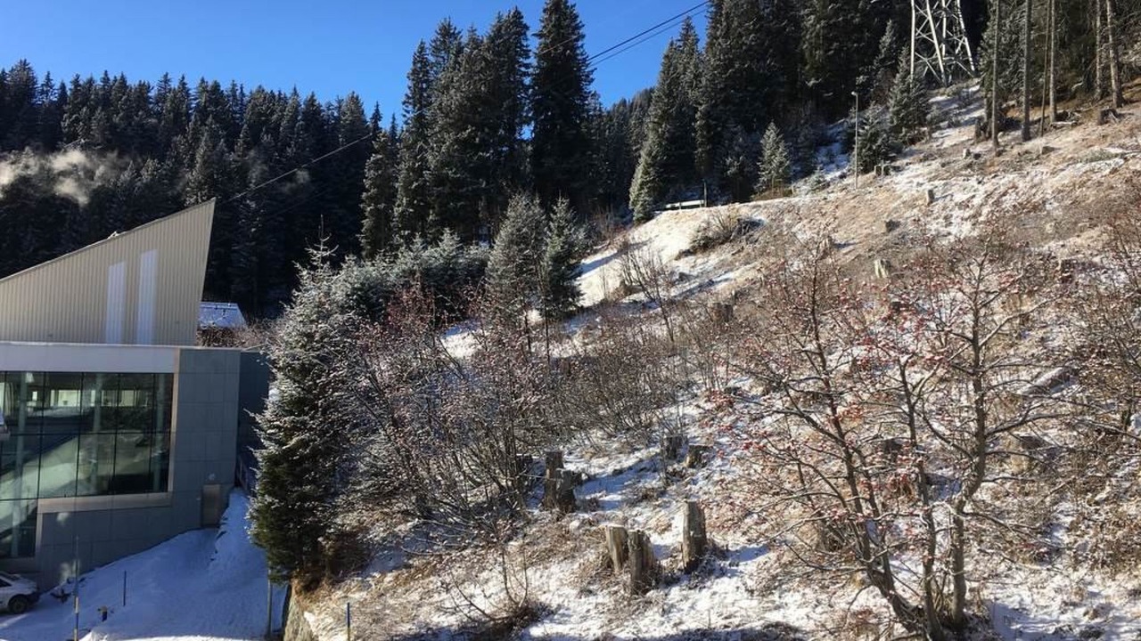 Photo of Others in Arosa