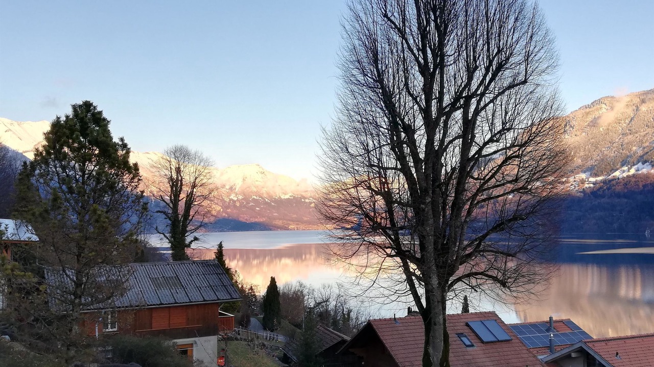 Photo of Others in Niederried bei Interlaken