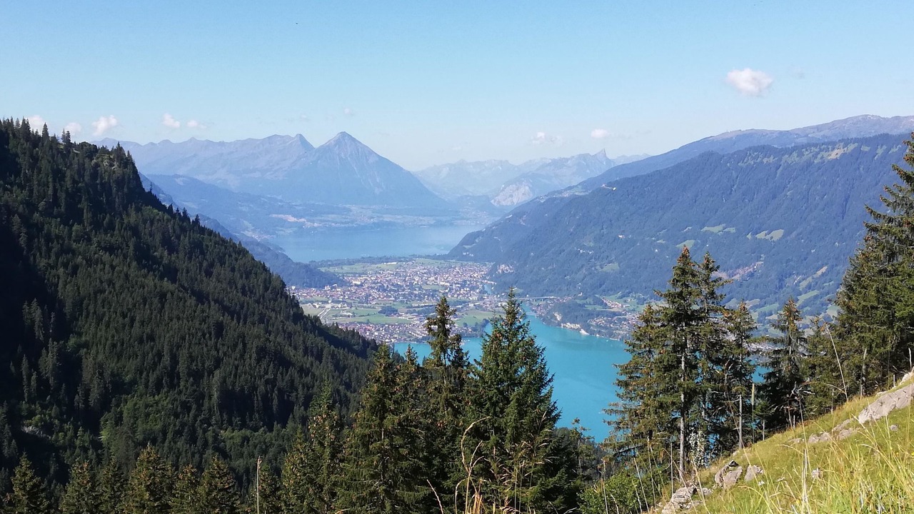 Photo of Others in Niederried bei Interlaken