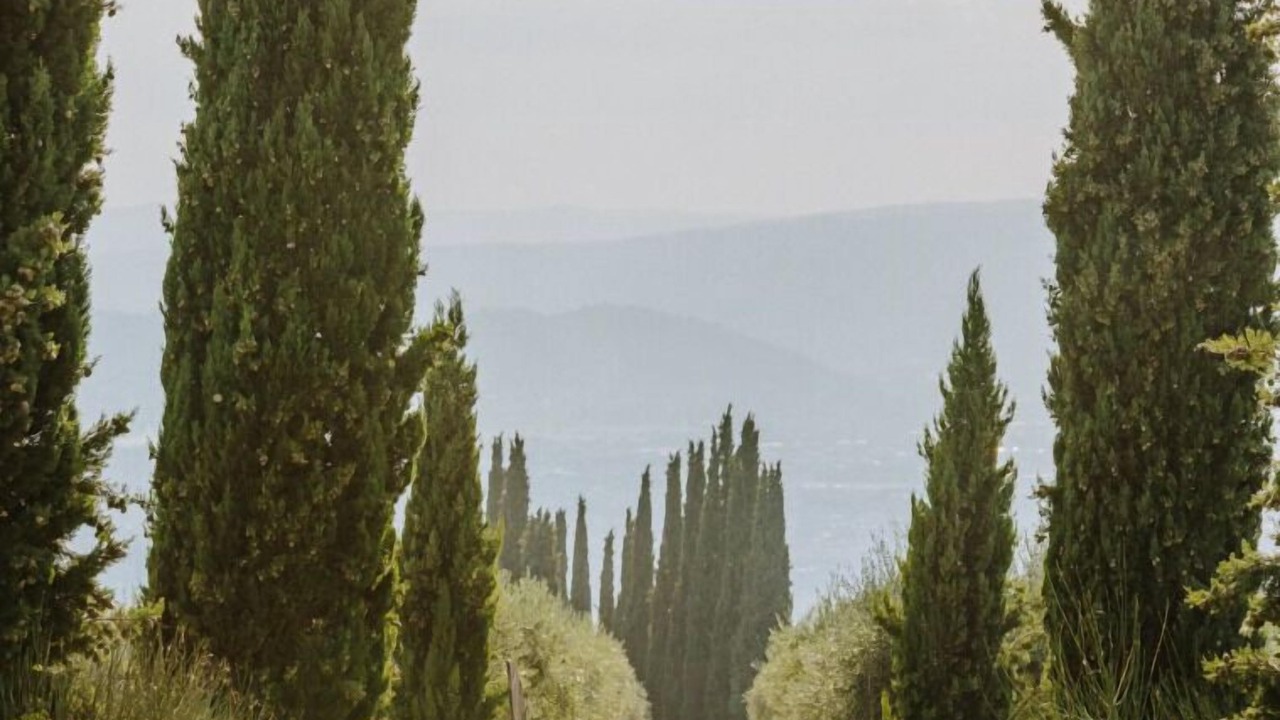 Photo of Others in Arezzo