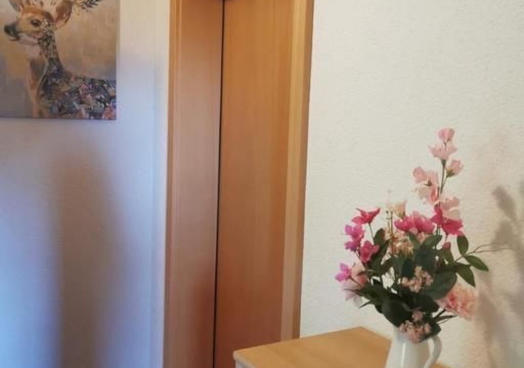 Photo of Others in Schwyz