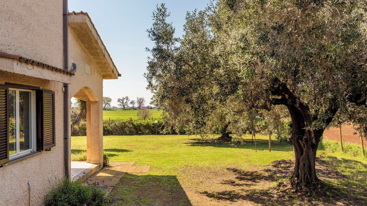 Photo of Outdoor in Tarquinia