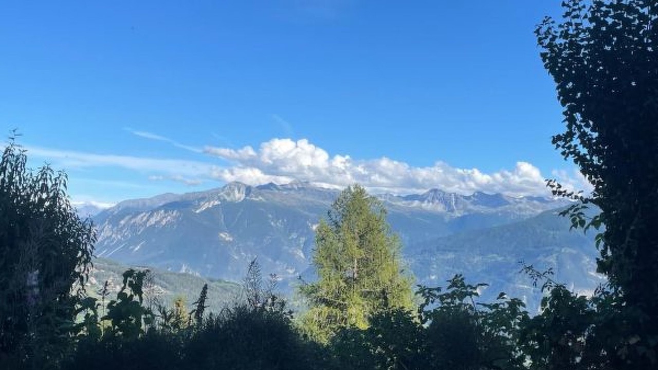 Photo of Others in Monteiller