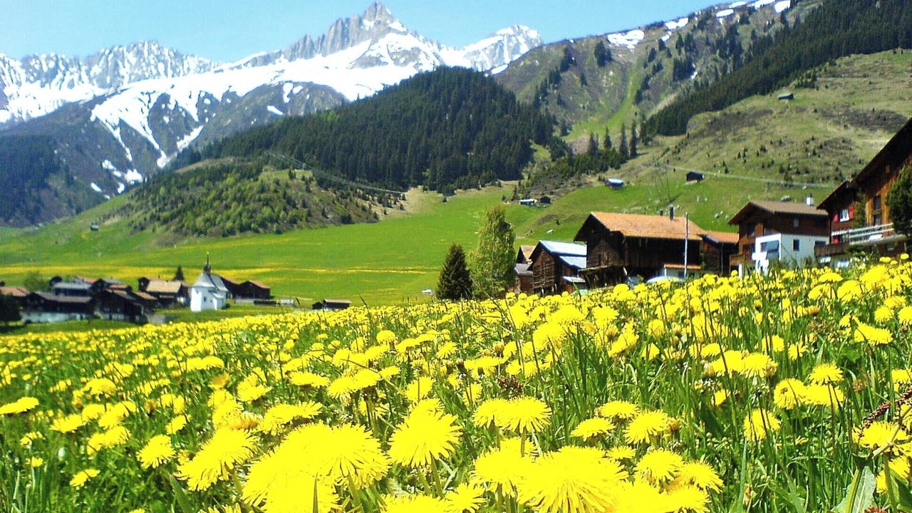 Photo of Others in Sedrun