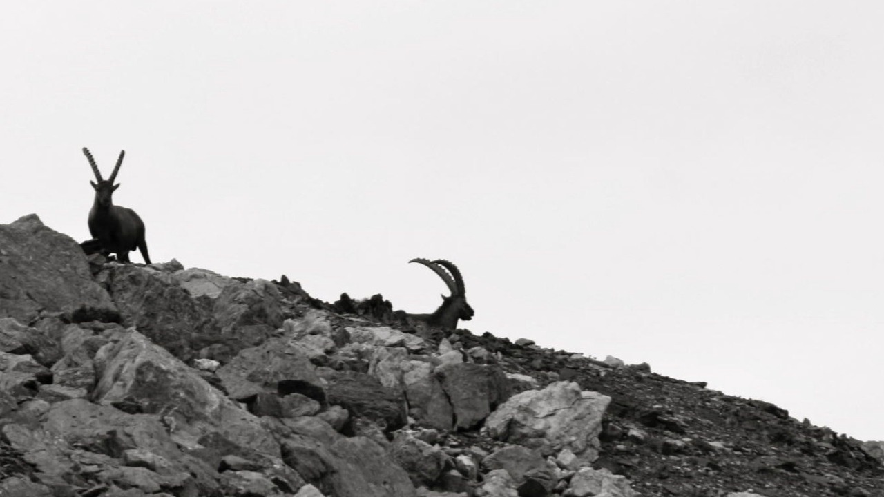 Photo of Others in Berguen