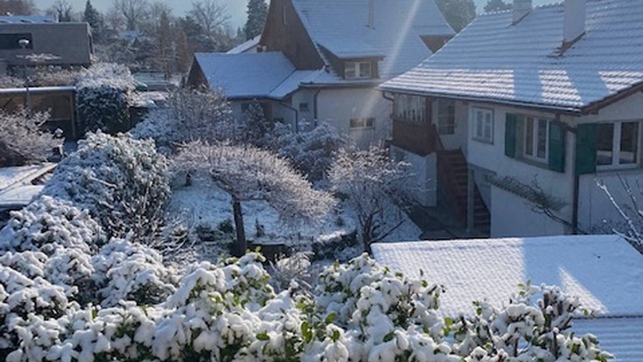 Photo of Outdoor in Meilen District