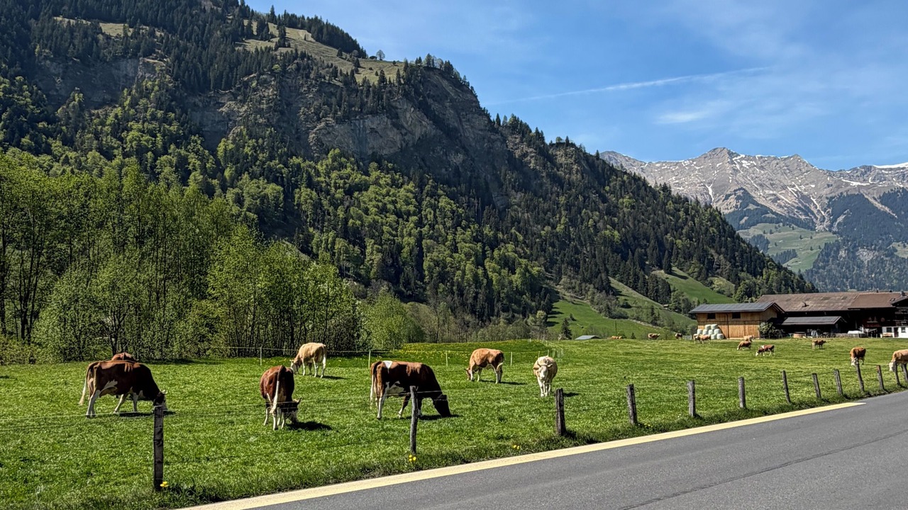 Photo of Others in Kandergrund