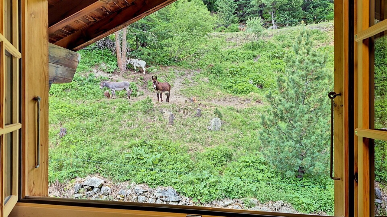 Photo of Others in Arolla