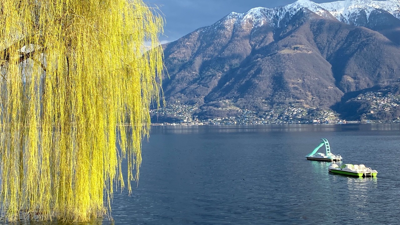 Photo of Outdoor in Orselina