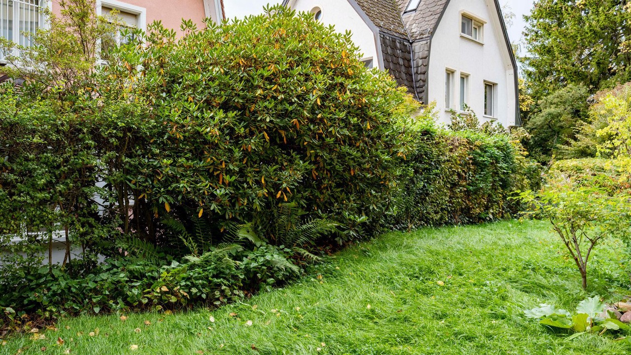 Photo of Outdoor in Hirslanden