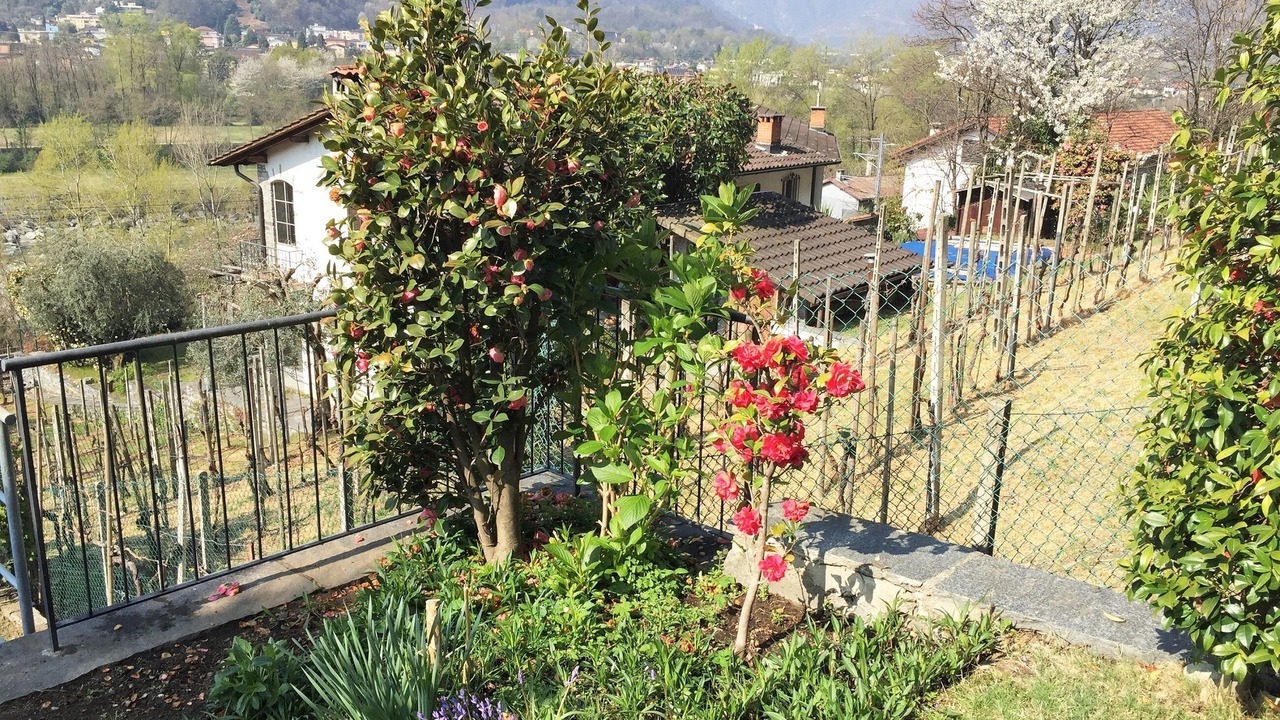 Photo of Outdoor in Locarno