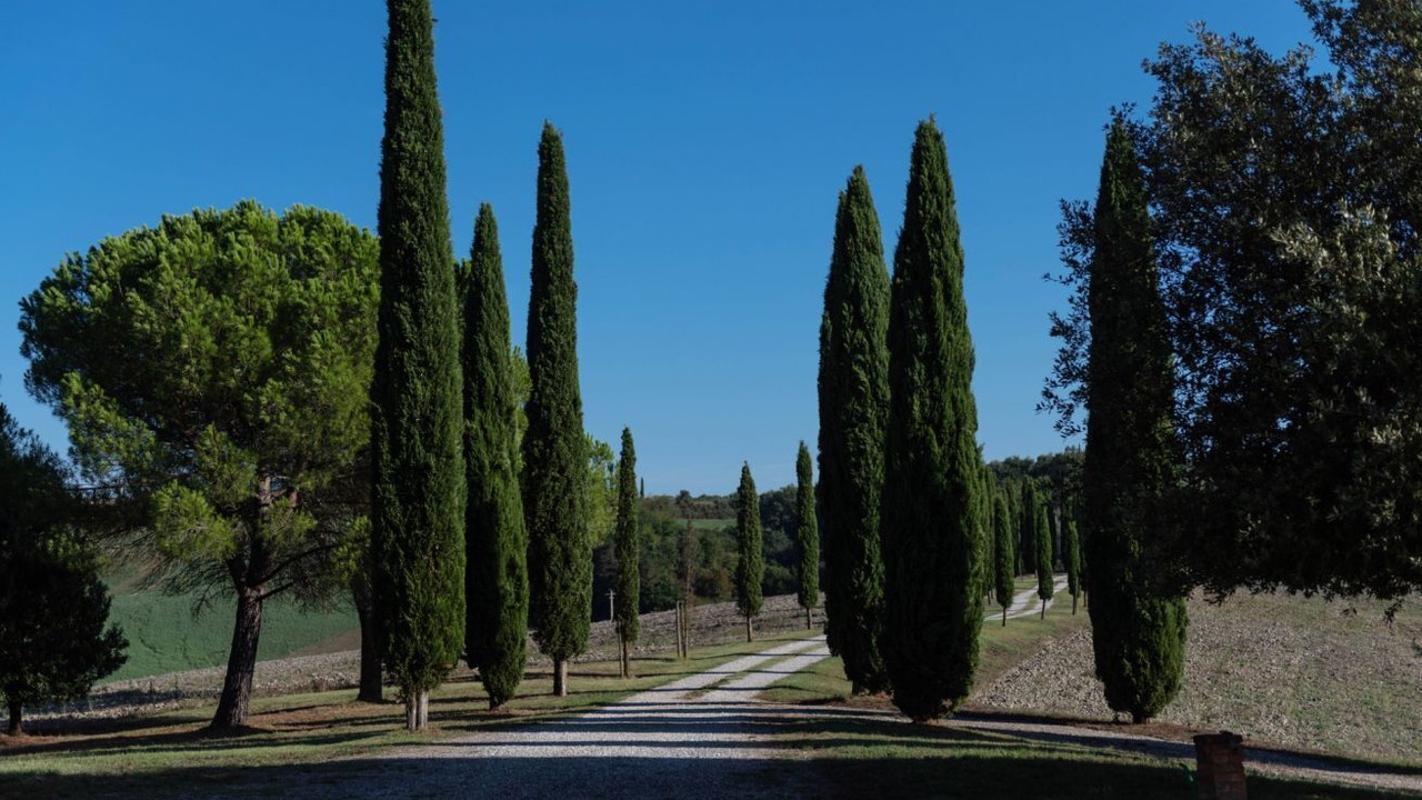 Photo of Others in Siena