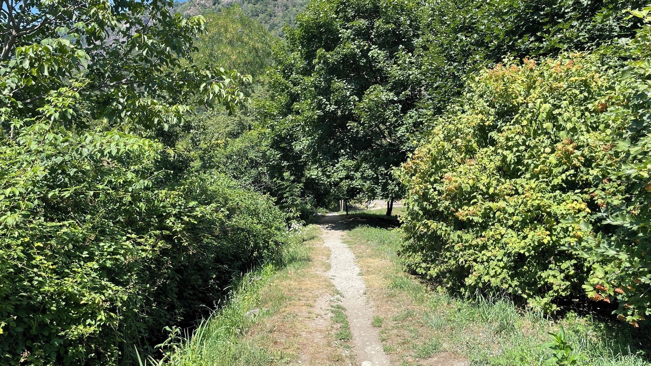Photo of Others in Arcegno