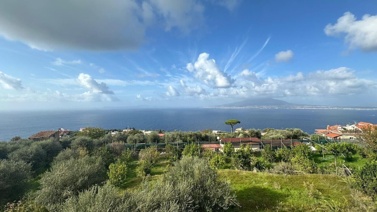 Photo of Others in Monte Chiaro