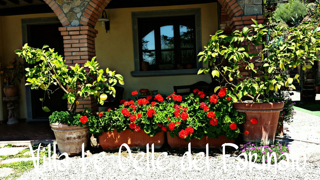 Photo of Outdoor in Ferretto